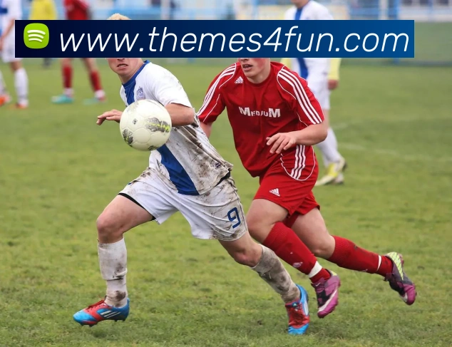 mksports最新消息全站App